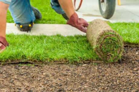 Turf Laying Services: The Key to a Lush, Healthy Lawn