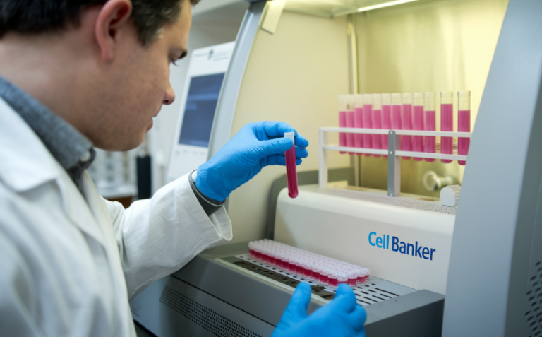 The Future of Cell Banking: Cytion's Innovations in CHO Cell Services