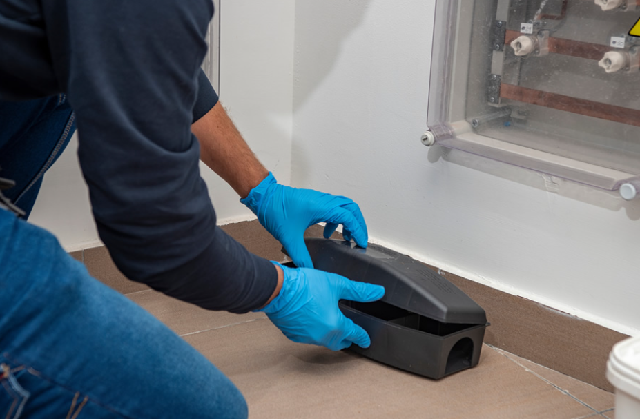 Expert Pest Control in Chelmsford: Your Friendly Family Exterminators