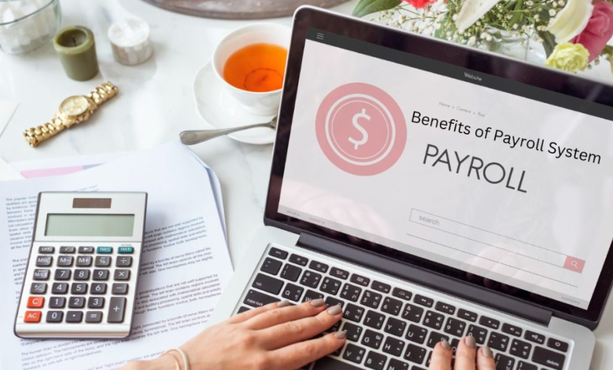 How Transparent Payroll and HR Platform Pricing Supports Small Business Success