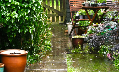 7 Summer Yard Disasters Homeowners Always Regret Ignoring Until It’s Too Late