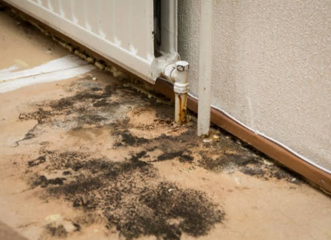 How Environmental Remediation Improves Indoor Air Quality
