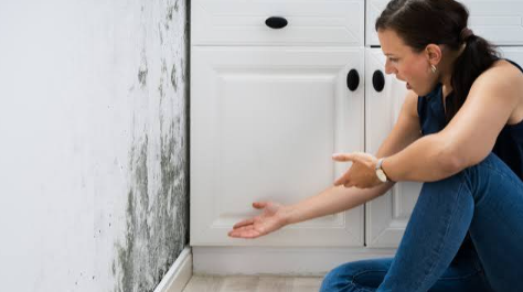 How Quick Action After Water Damage Can Protect Your Home from Costly Repairs