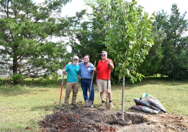 Maintaining Healthy Trees: A Cornerstone for Vibrant Communities in Chesapeake, VA