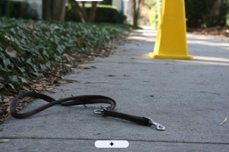 Understanding Strict Liability: When a Dog Owner Is Responsible Regardless of the Dog’s History