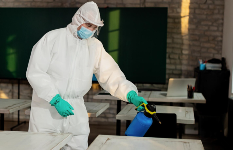 How Exterminators Help Maintain A Healthier Living Environment
